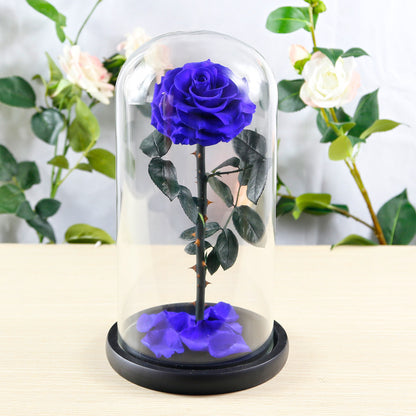 Flag Village Preserved Flower Rose Finished Glass Cover Gift Box