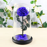 Flag Village Preserved Flower Rose Finished Glass Cover Gift Box