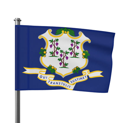 Flag Village USA Connecticut State Flag 18" x 12" / 36" x 24" / 60" x 36"