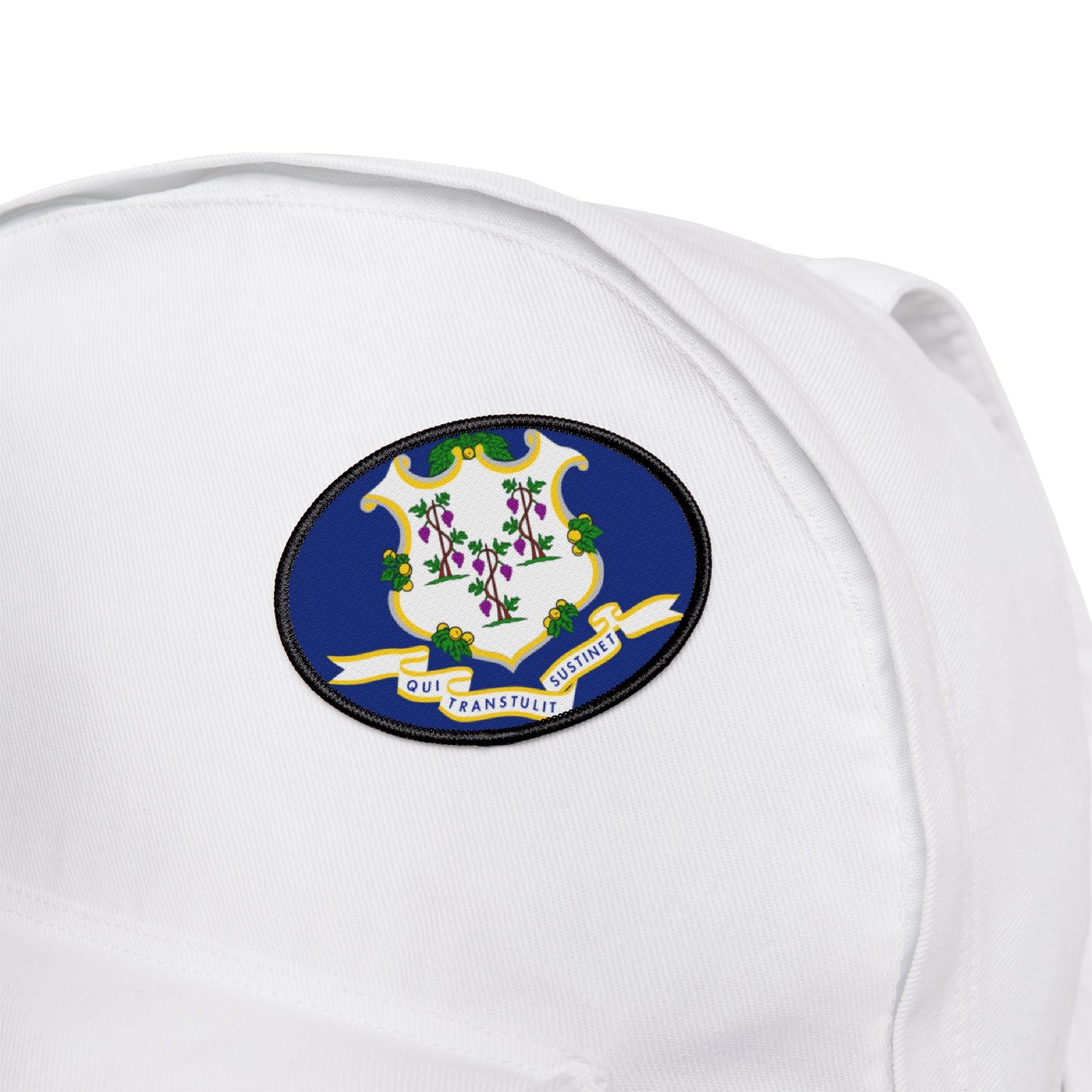 Flag Village Connecticut State Flag Embroidery Iron-On Patches