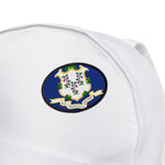 Flag Village Connecticut State Flag Embroidery Iron-On Patches