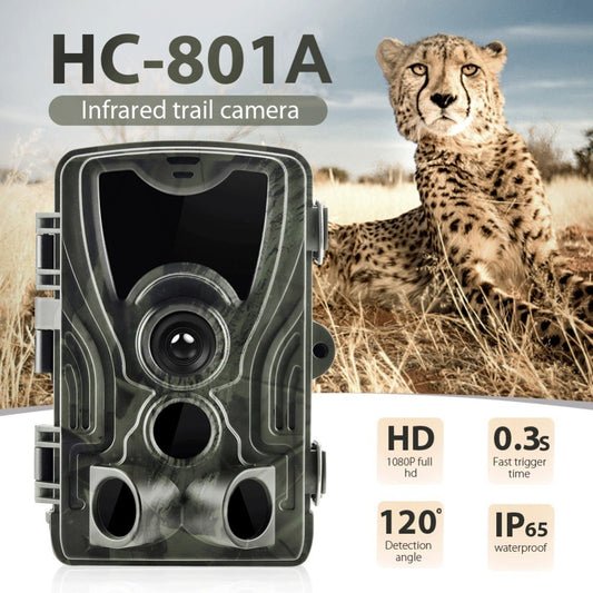 Flag Village Hunting-Trail-Camera Photo-Trap HC801A Night-Version Trigger Surveillance 1080P 16MP