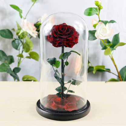 Flag Village Preserved Flower Rose Finished Glass Cover Gift Box