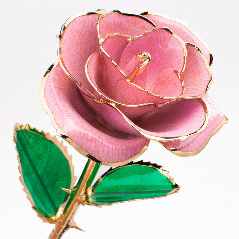 Flag Village 24K Gold-plated Rose Flower With A Gift Box Valentine's Day Gift