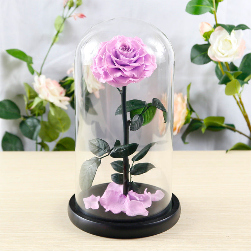 Flag Village Preserved Flower Rose Finished Glass Cover Gift Box
