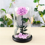 Flag Village Preserved Flower Rose Finished Glass Cover Gift Box