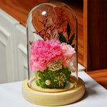 Flag Village Carnation Eternal Flower Glass Cover Finished Gift Box