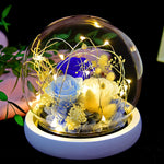 Flag Village Eternal Flower Rose Glass Cover Gift Box Gift