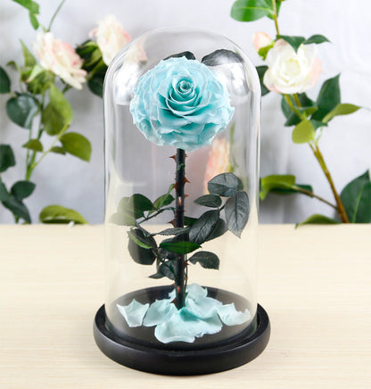 Flag Village Preserved Flower Rose Finished Glass Cover Gift Box