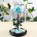Flag Village Preserved Flower Rose Finished Glass Cover Gift Box