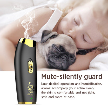 Flag Village Auto Tools Car Handheld Electronic USB Aroma Diffuser