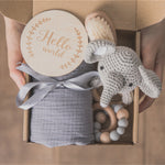 Flag Village Baby Educational Toy Molar Teether Gift Box