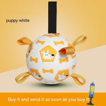 Flag Village Pet Interactive Football Dog Outdoor Toy Molar Long Lasting