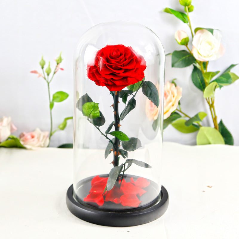 Flag Village Preserved Flower Rose Finished Glass Cover Gift Box