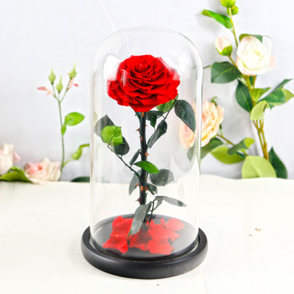 Flag Village Preserved Flower Rose Finished Glass Cover Gift Box