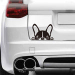 Flag Village Puppy Dog car stickers automotive accessories decoration 15 X 10 CM