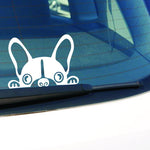Flag Village Puppy Dog car stickers automotive accessories decoration 15 X 10 CM